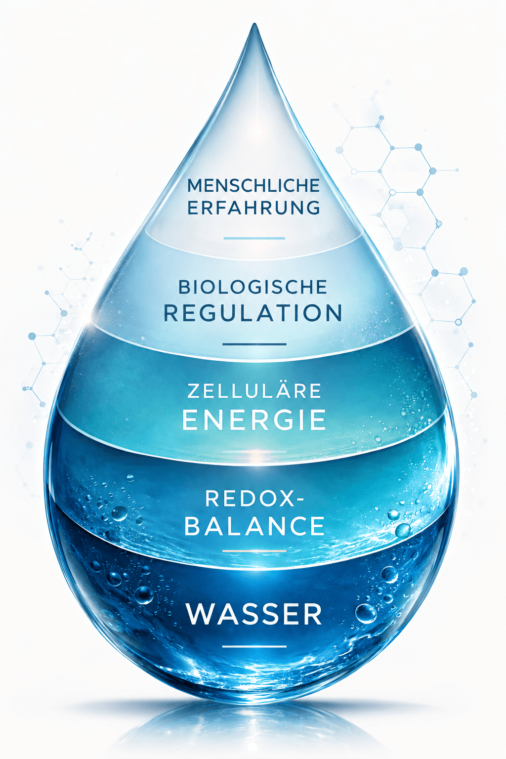Nexus-Modell in einem Wassertropfen, von unten nach oben: Wasser, Redox-Balance, zelluläre Energie, biologische Regulation und menschliche Erfahrung.