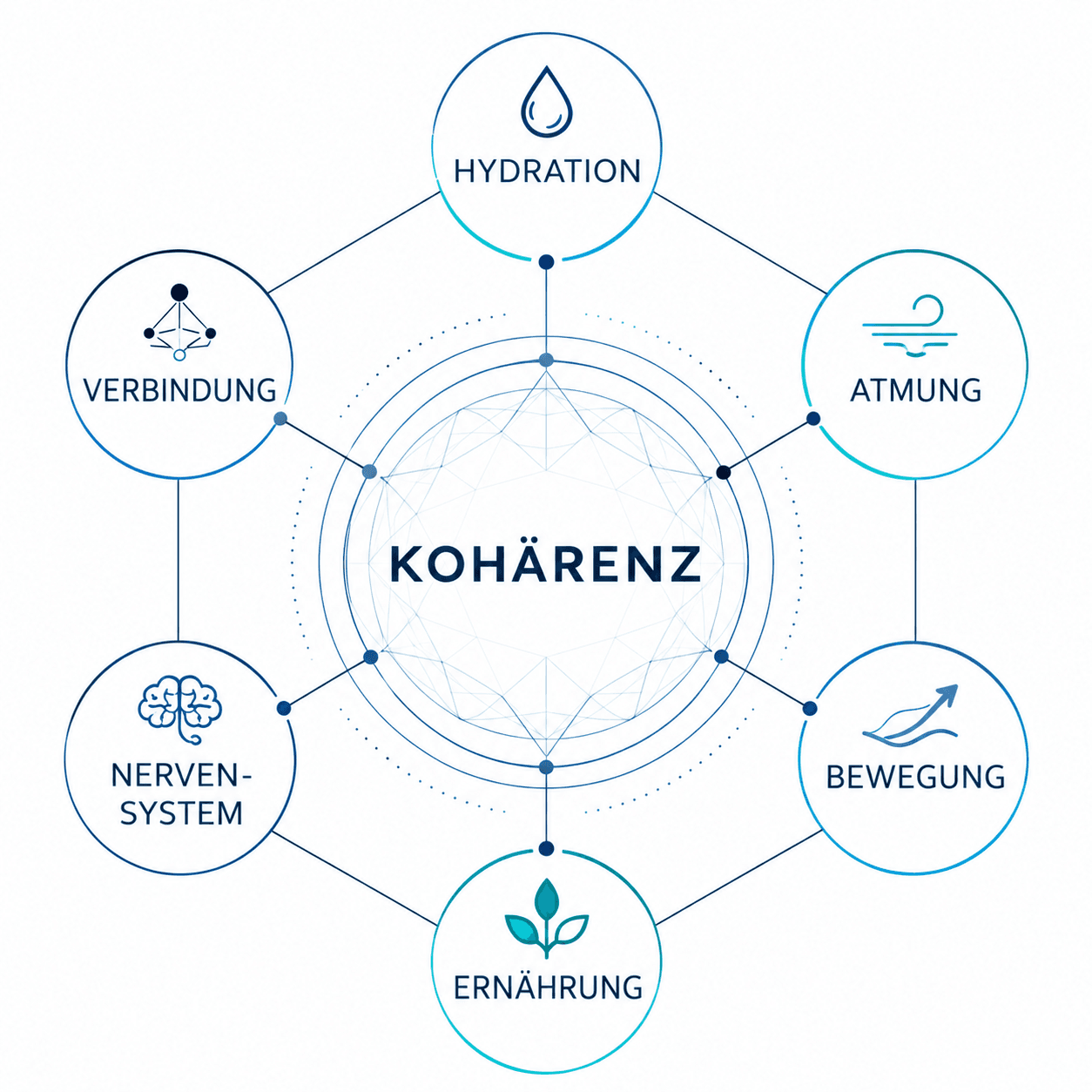 Nexus-Karte: Hydration, Atmung, Bewegung, Ernährung, Nervensystem und Verbindung rund um Kohärenz.